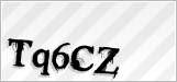CAPTCHA security code