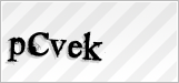 CAPTCHA security code