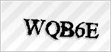 CAPTCHA security code