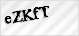 CAPTCHA security code