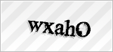 CAPTCHA security code
