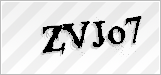 CAPTCHA security code