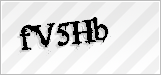 CAPTCHA security code