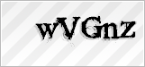 CAPTCHA security code