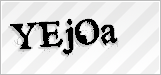 CAPTCHA security code