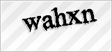 CAPTCHA security code