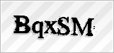 CAPTCHA security code