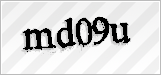 CAPTCHA security code