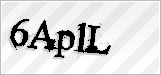 CAPTCHA security code