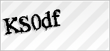 CAPTCHA security code