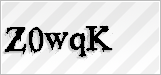 CAPTCHA security code