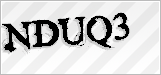 CAPTCHA security code