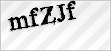 CAPTCHA security code