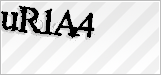 CAPTCHA security code