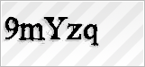 CAPTCHA security code