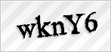 CAPTCHA security code
