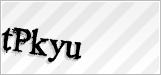 CAPTCHA security code