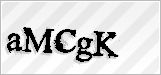CAPTCHA security code
