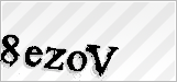 CAPTCHA security code