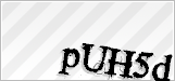 CAPTCHA security code