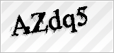 CAPTCHA security code
