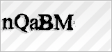 CAPTCHA security code