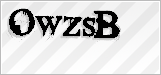 CAPTCHA security code