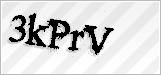 CAPTCHA security code