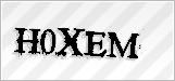 CAPTCHA security code
