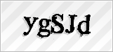 CAPTCHA security code