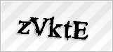 CAPTCHA security code