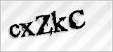 CAPTCHA security code
