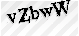 CAPTCHA security code