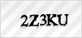 CAPTCHA security code