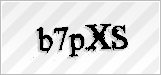 CAPTCHA security code