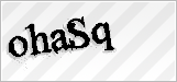 CAPTCHA security code