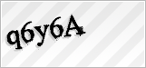 CAPTCHA security code
