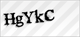 CAPTCHA security code