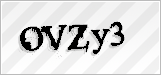 CAPTCHA security code