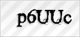 CAPTCHA security code