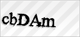 CAPTCHA security code