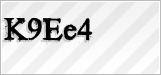 CAPTCHA security code