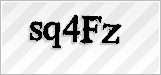 CAPTCHA security code