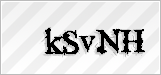 CAPTCHA security code