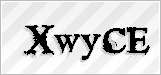 CAPTCHA security code