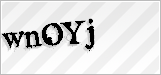 CAPTCHA security code