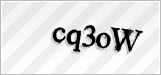 CAPTCHA security code