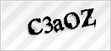CAPTCHA security code