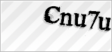 CAPTCHA security code