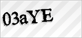 CAPTCHA security code
